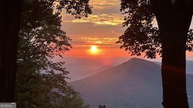 Lake Tamarack Home For Sale in Jasper Georgia