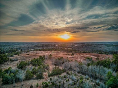 (private lake, pond, creek) Acreage For Sale in Liberty South Carolina