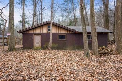 Lake Home For Sale in Hinton, Virginia