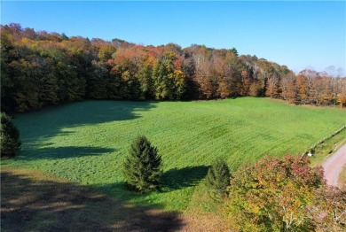 Lake Acreage Sale Pending in Bethel, New York