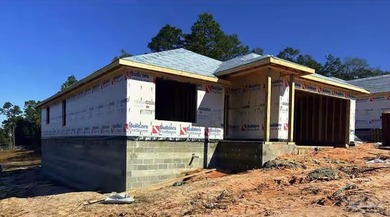 Blackwater River Home For Sale in Milton Florida