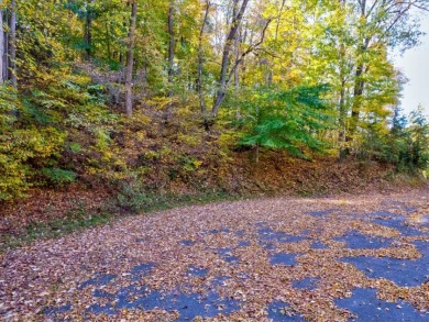 Investment Opportunity:  3 Adjoining Lots in Walnut Bend - photo 3