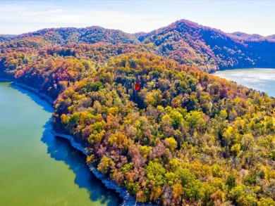 Investment Opportunity:  3 Adjoining Lots in Walnut Bend - photo 11