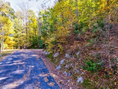 Investment Opportunity:  3 Adjoining Lots in Walnut Bend - photo 4