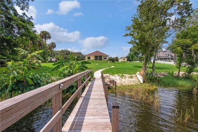 Lake Umatilla Home For Sale in Umatilla Florida