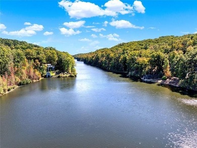 PRICE IMPROVEMENT- Lake Laceola Instant Mountain Lifestyle-No - photo 44
