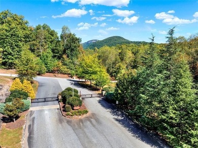 PRICE IMPROVEMENT- Lake Laceola Instant Mountain Lifestyle-No - photo 45