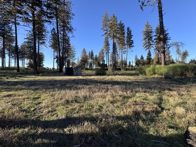 Welcome to this 3-bedroom, 2-bathroom home in Oroville offering - photo 23
