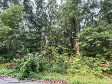 MAKE OFFER! 2 lots bordered by road frontage on each end! - Lake Lot For Sale in Mammoth Cave, Kentucky