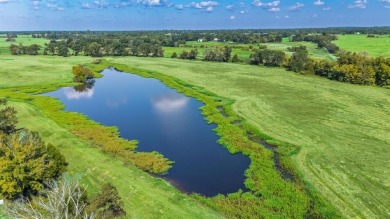 (private lake, pond, creek) Acreage For Sale in Brashear Texas