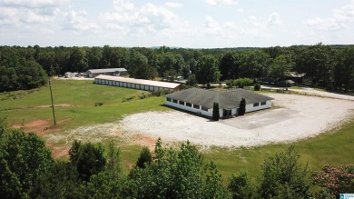 Huge potential!! 5.6+/- acres, a 4000 sq. ft building and 19 - Lake Commercial For Sale in Wedowee, Alabama