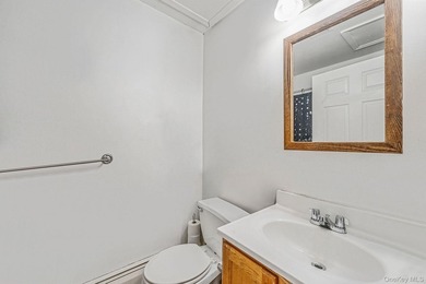 Well-maintained two-family home in East New York Brooklyn, NY - photo 23