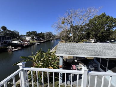 Main Deep Canal With direct access to the Gulfpletely remodeled - photo 28