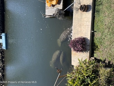 Main Deep Canal With direct access to the Gulfpletely remodeled - photo 34