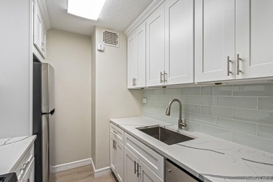 Brand new renovations in this 2 bedroom/ 2 bathroom in the - photo 7