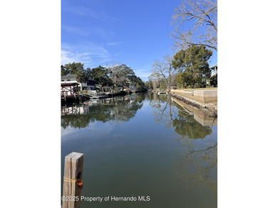 Main Deep Canal With direct access to the Gulfpletely remodeled - photo 39