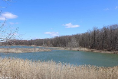 (private lake, pond, creek) Acreage For Sale in Brockway Michigan