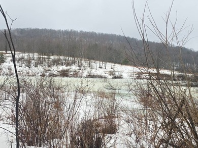 (private lake, pond, coastal) Acreage For Sale in Westford New York