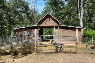 PRICE REDUCED!! Working mini-farm just 4 miles from Lake - photo 48