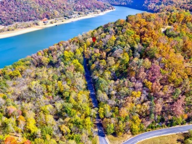 Investment Opportunity:  3 Adjoining Lots in Walnut Bend - photo 8