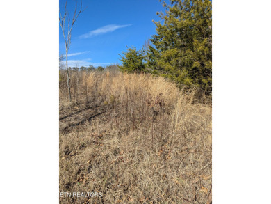Outstanding elevated and cleared homesite with views of lake and - photo 11