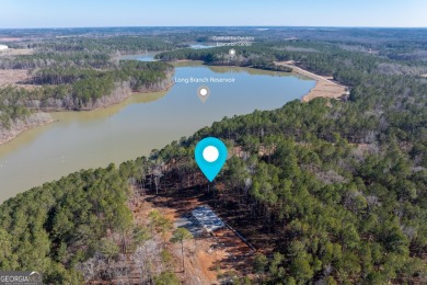 Lake Acreage For Sale in Locust Grove, Georgia