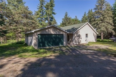 Lake Home For Sale in Remer, Minnesota