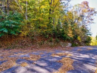 Investment Opportunity:  3 Adjoining Lots in Walnut Bend - photo 9