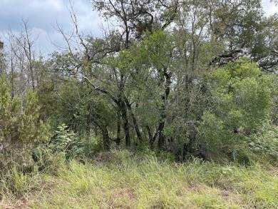 Lake Lot For Sale in Spicewood, Texas