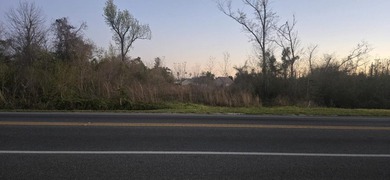 Prime vacant land located at 6014 E Highway 22, Panama City, FL - photo 3