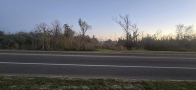 Prime vacant land located at 6014 E Highway 22, Panama City, FL - photo 4