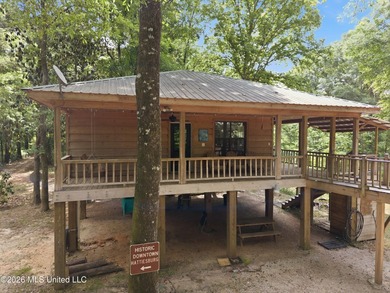 Escape to your own private retreat on beautiful Tallahala Creek - photo 15
