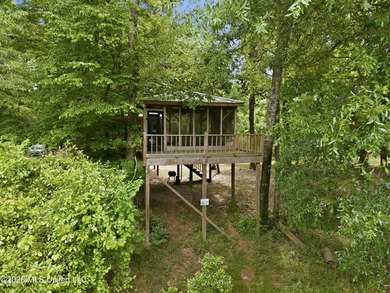 Escape to your own private retreat on beautiful Tallahala Creek - photo 19