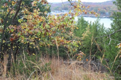 Lake of the Ozarks Lot For Sale in Gravois Mills Missouri