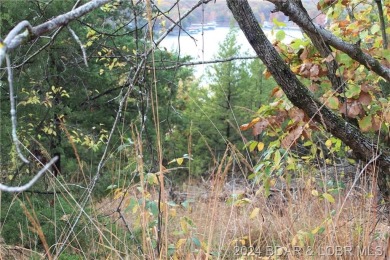 Lake Lot For Sale in Gravois Mills, Missouri