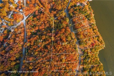 Lake Lot For Sale in Gravois Mills, Missouri