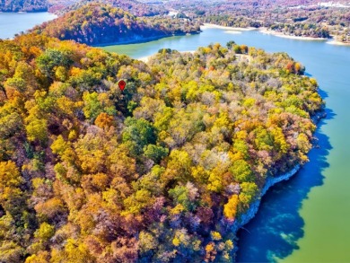 Investment Opportunity:  3 Adjoining Lots in Walnut Bend - photo 15