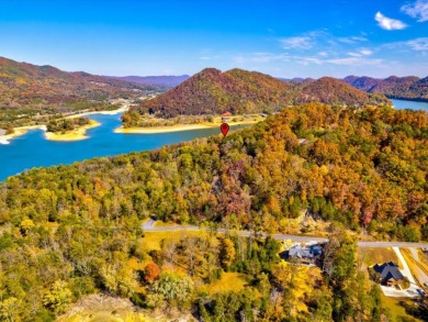 Investment Opportunity:  3 Adjoining Lots in Walnut Bend - photo 13