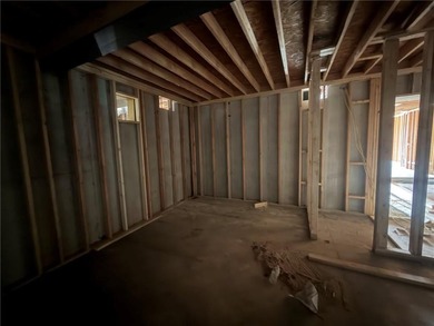 As of 5/26 home is in sheetrock stage, Exterior Paint and Roof - photo 5