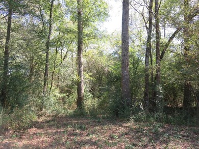 Additional listing photo 2