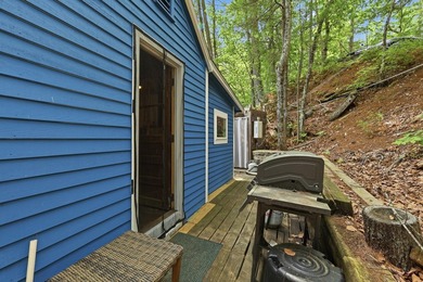 There are lakefront camps, and then there's 263 Caldwell Lane - photo 11