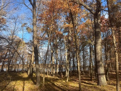 Discover your own north woods paradise on this stunning 5+ acre - photo 14