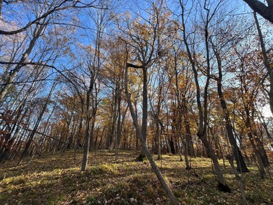 Discover your own north woods paradise on this stunning 5+ acre - photo 17