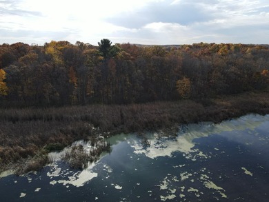 Discover your own north woods paradise on this stunning 5+ acre - photo 19