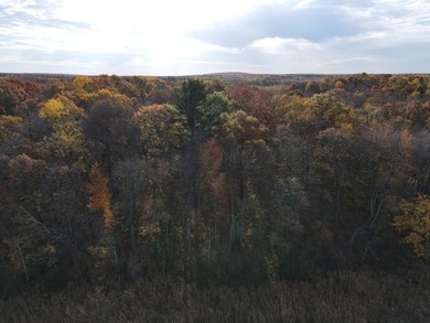 Discover your own north woods paradise on this stunning 5+ acre - photo 20