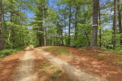 There are lakefront camps, and then there's 263 Caldwell Lane - photo 29