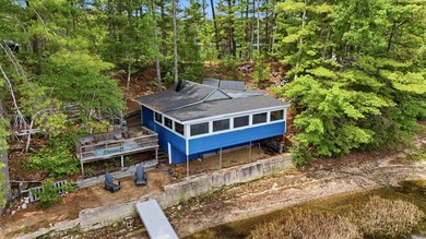 There are lakefront camps, and then there's 263 Caldwell Lane - photo 33