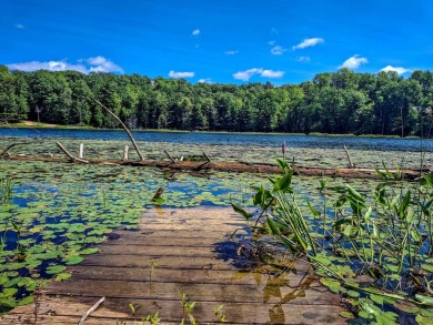 Lake Acreage Sale Pending in Harrison, Michigan