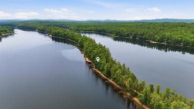There are lakefront camps, and then there's 263 Caldwell Lane - photo 41