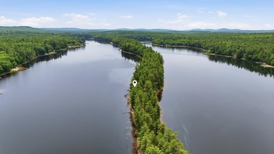 There are lakefront camps, and then there's 263 Caldwell Lane - photo 42